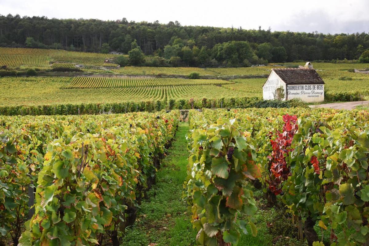 Le Richebourg - Charmant T2 Cosy, Tout Confort Gevrey-Chambertin Exterior photo