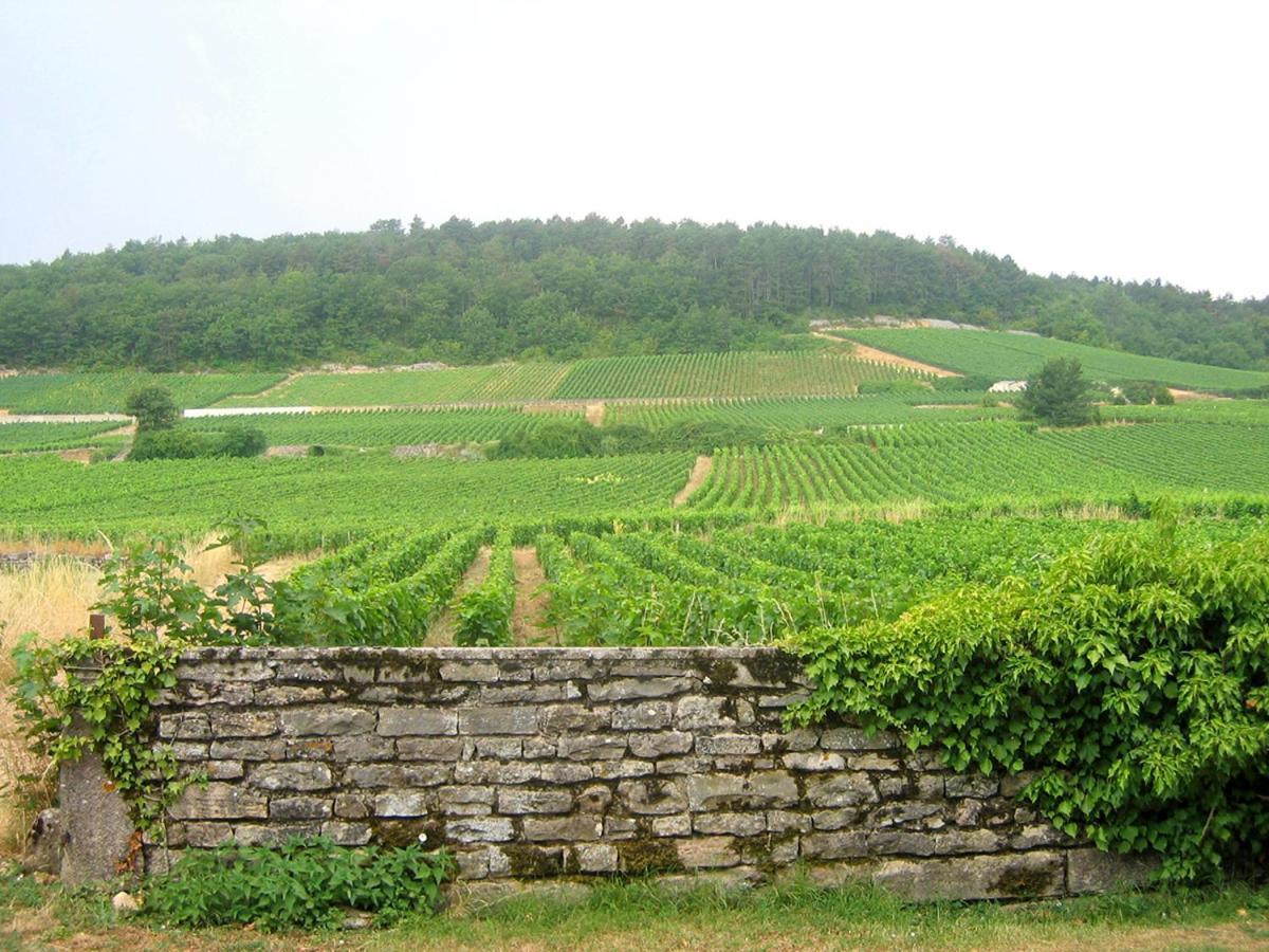 Le Richebourg - Charmant T2 Cosy, Tout Confort Gevrey-Chambertin Exterior photo