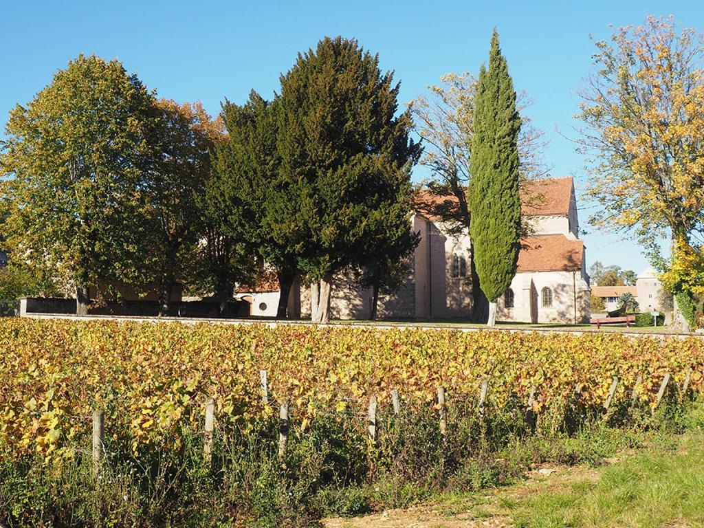 Le Richebourg - Charmant T2 Cosy, Tout Confort Gevrey-Chambertin Exterior photo